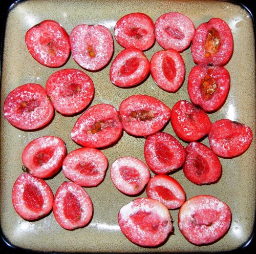 קריסה גדולת פרי פרי בשל