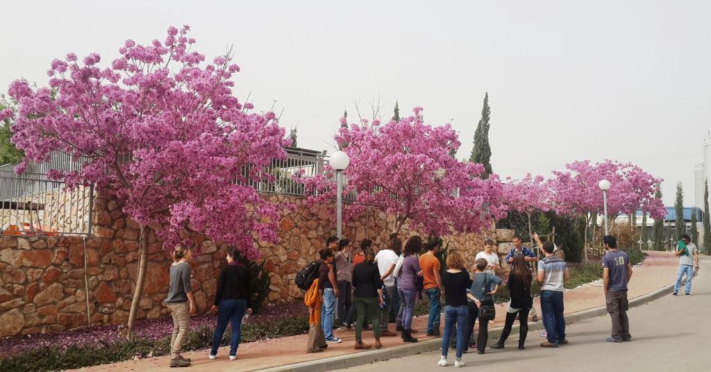 סיור לימודי קורס הכרת הצומח מחזור נ רו