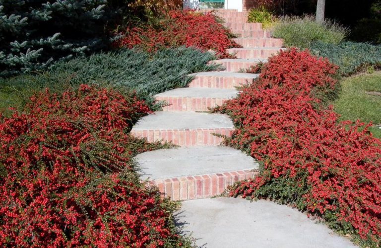 fossilcreeknursery.com