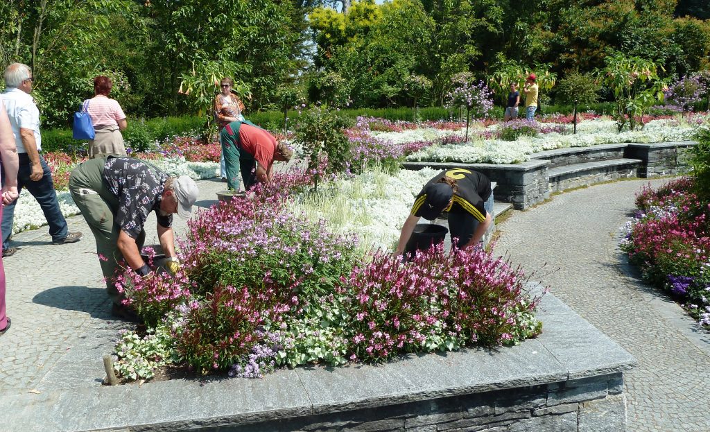 גננים בעבודה