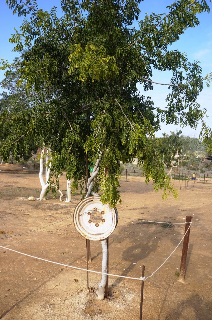 כלים שלובים