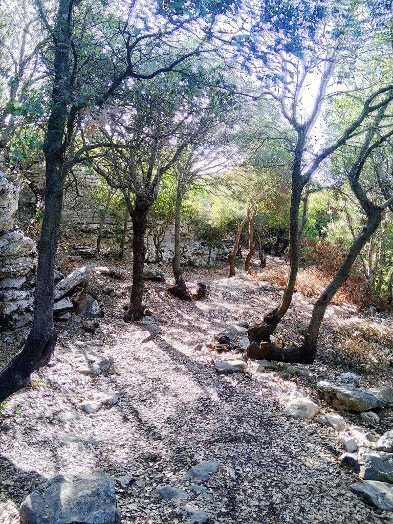 שביל פארק הסלעים חורש אלונים