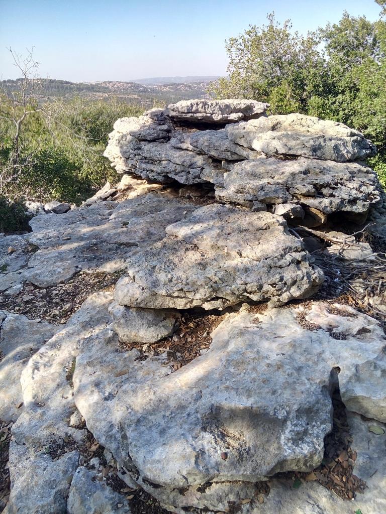 שביל פארק הסלעים סלע תצפית