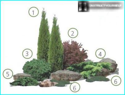 תיכנון ערערים