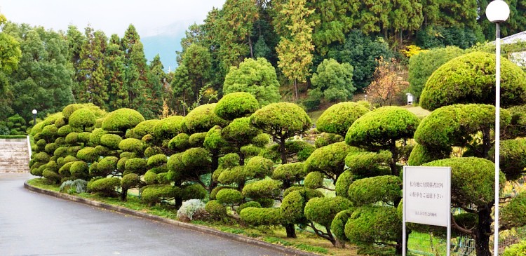 51b016ca 6443 41df a99a cf6d8094c4da