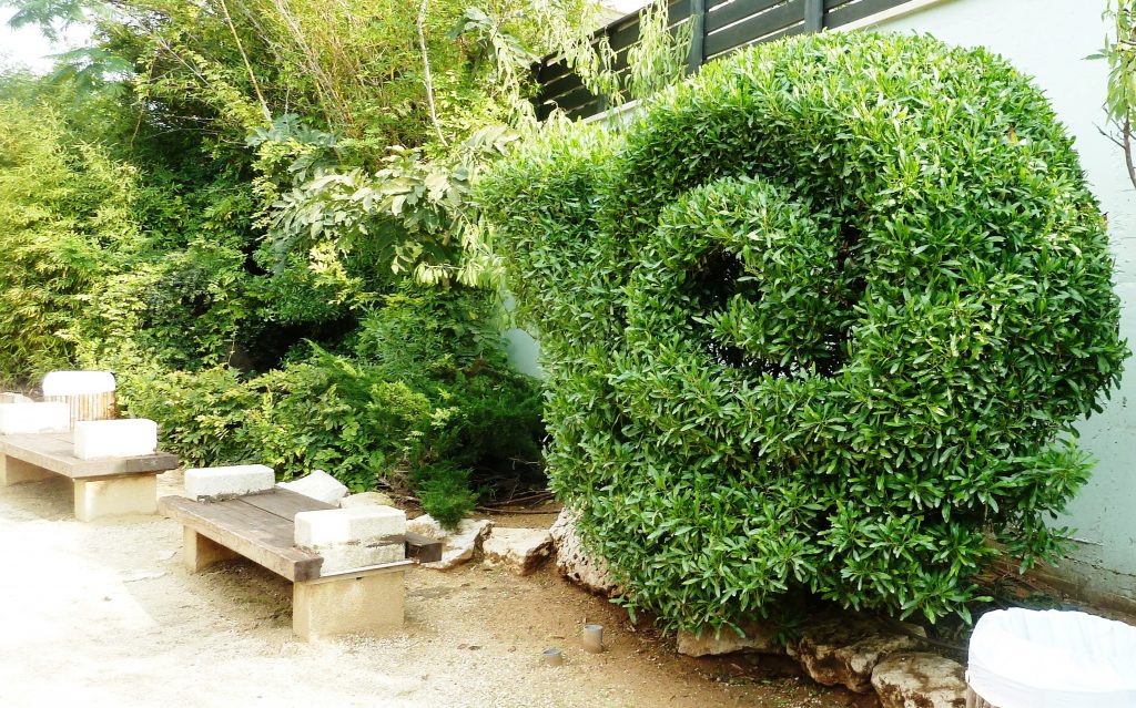 טופיארי שבלול3