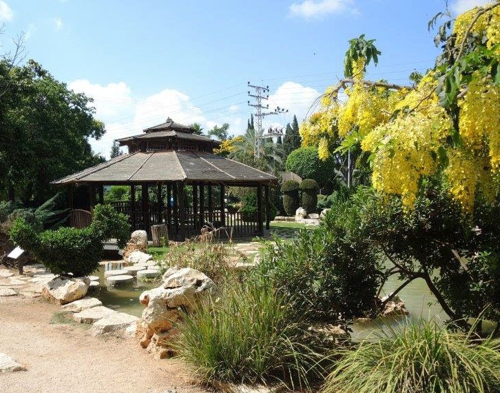 סנת האבוב בגן היפני