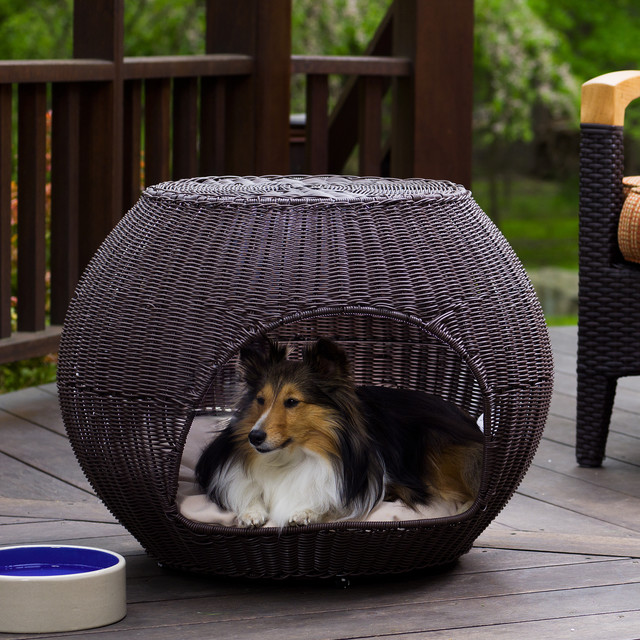 coolaroo elevated pet bed