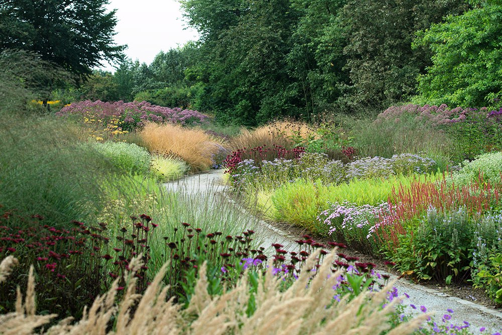 Maximilian park designed by Piet Oudolf | AskBlooma Plants info