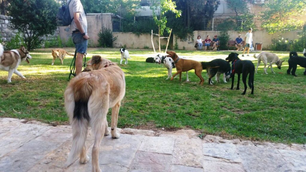 גן סמאטס בירושלים