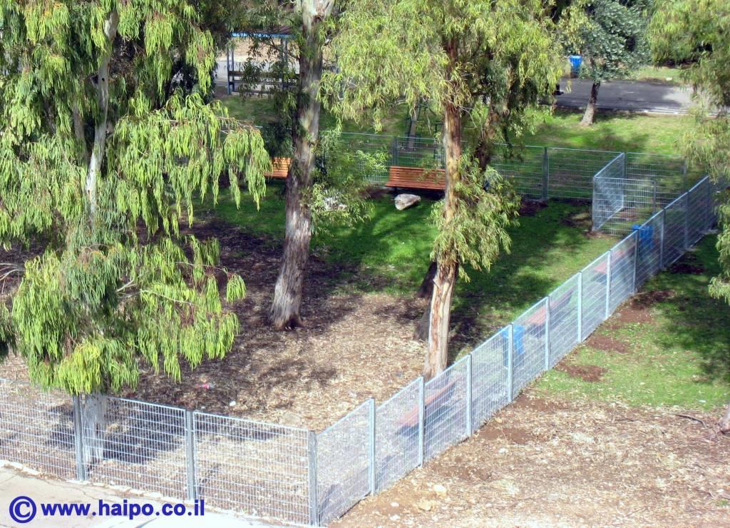 פארק לשיחרור כלבים בקריית אליעזר בחיפ