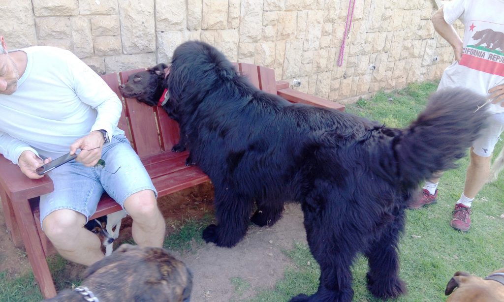 גן שמואל תמיר, הרצליה פיתוח