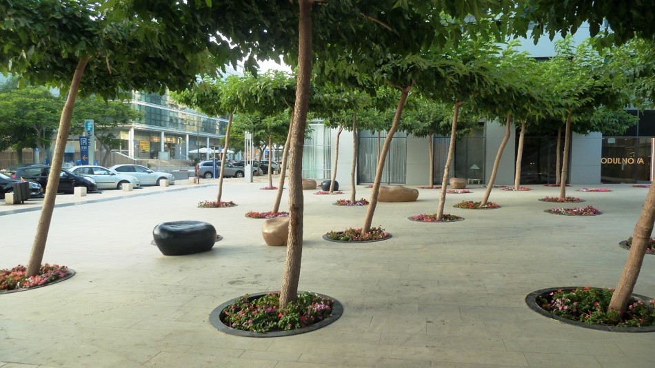 אריה שנקר 16 2