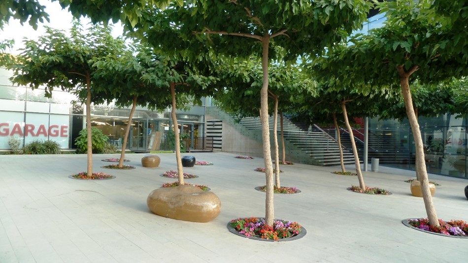 אריה שנקר 16 3