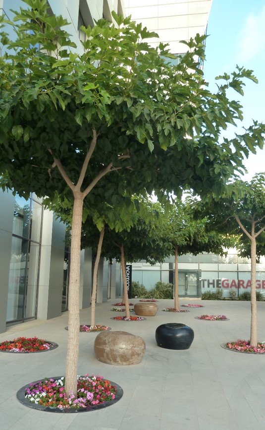 אריה שנקר 16 7