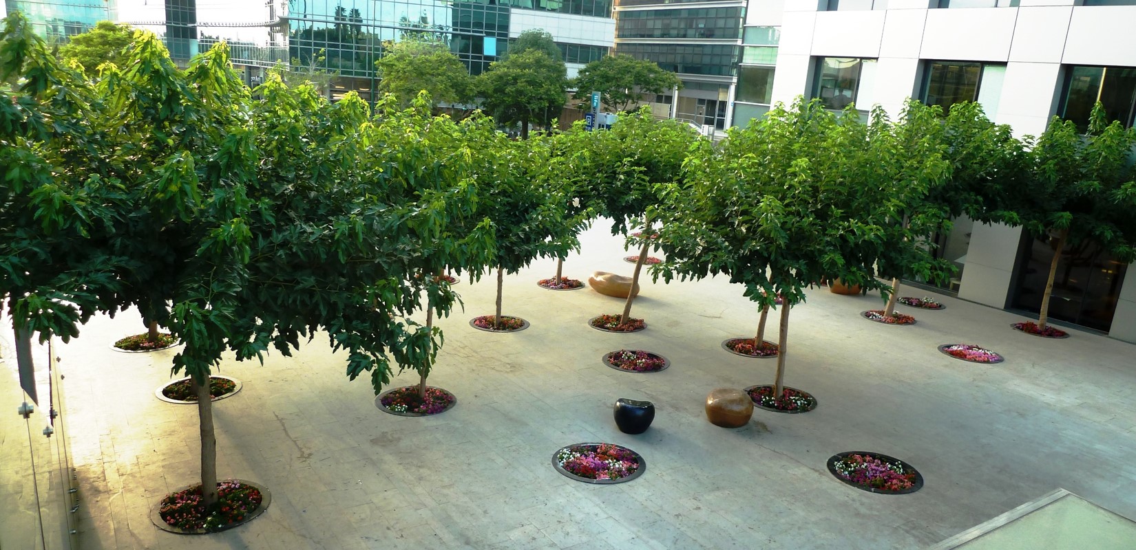 אריה שנקר 16