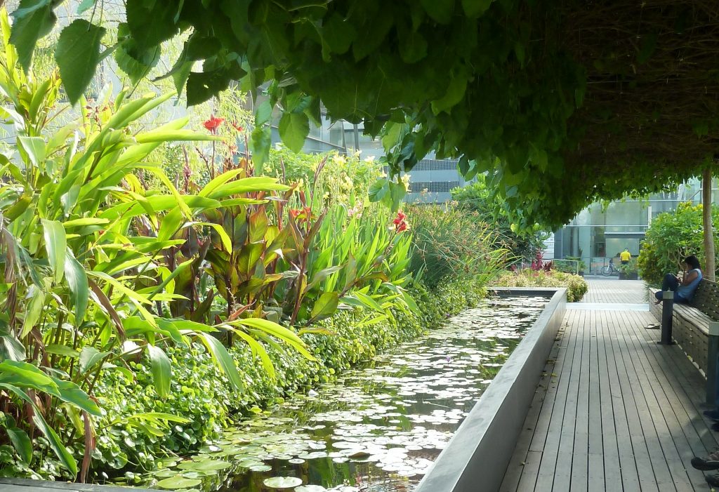 גן המדע 12 גב ים צפון תמא אדריכלים 15