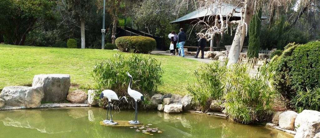 הגן היפני בחפציבה 4