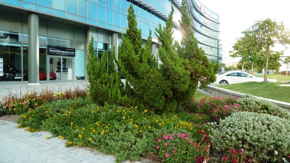 החושלים פינת אריה שנקר הרצליה פיתוח3