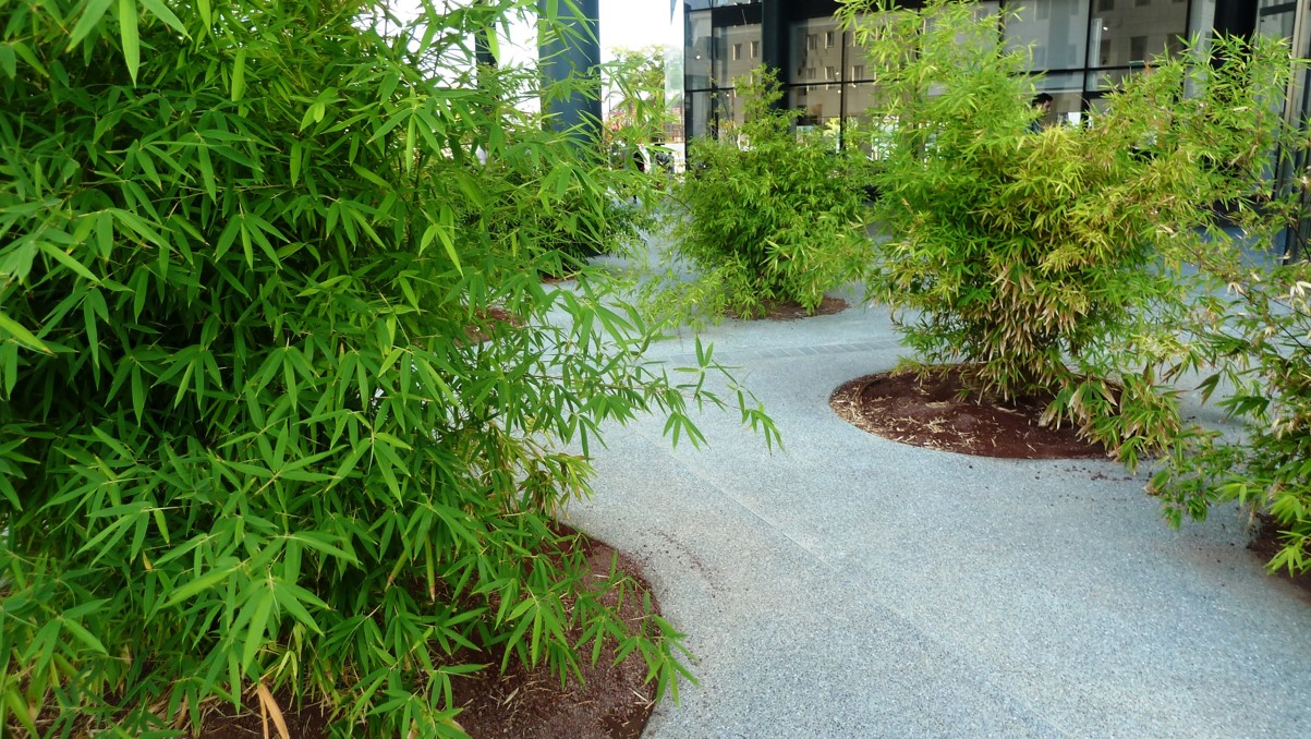 החושלים 8 הרצליה פיתוח 2