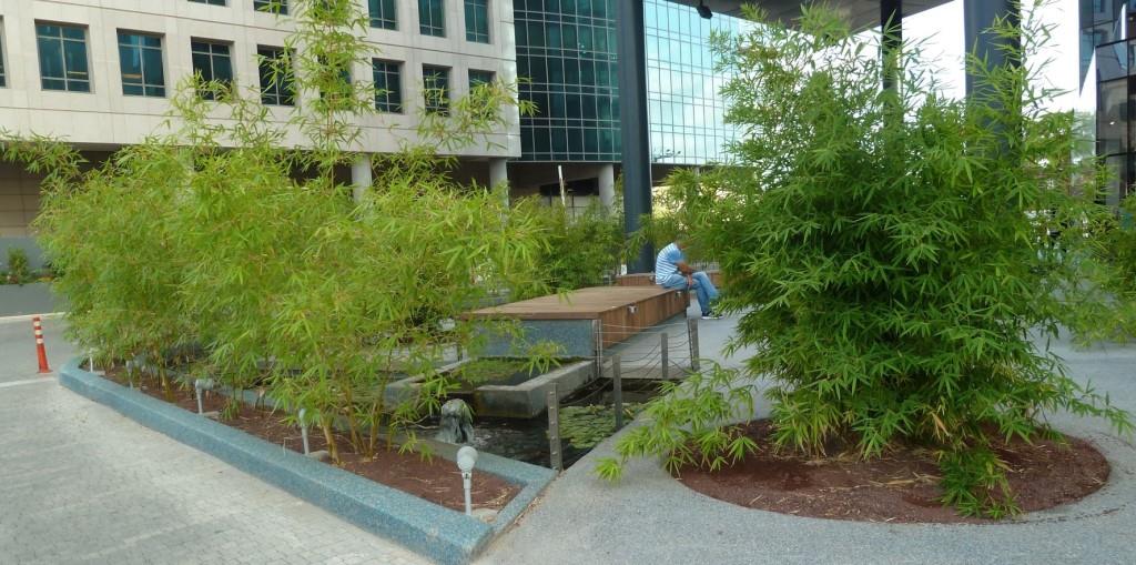 החושלים 8 הרצליה פיתוח 3