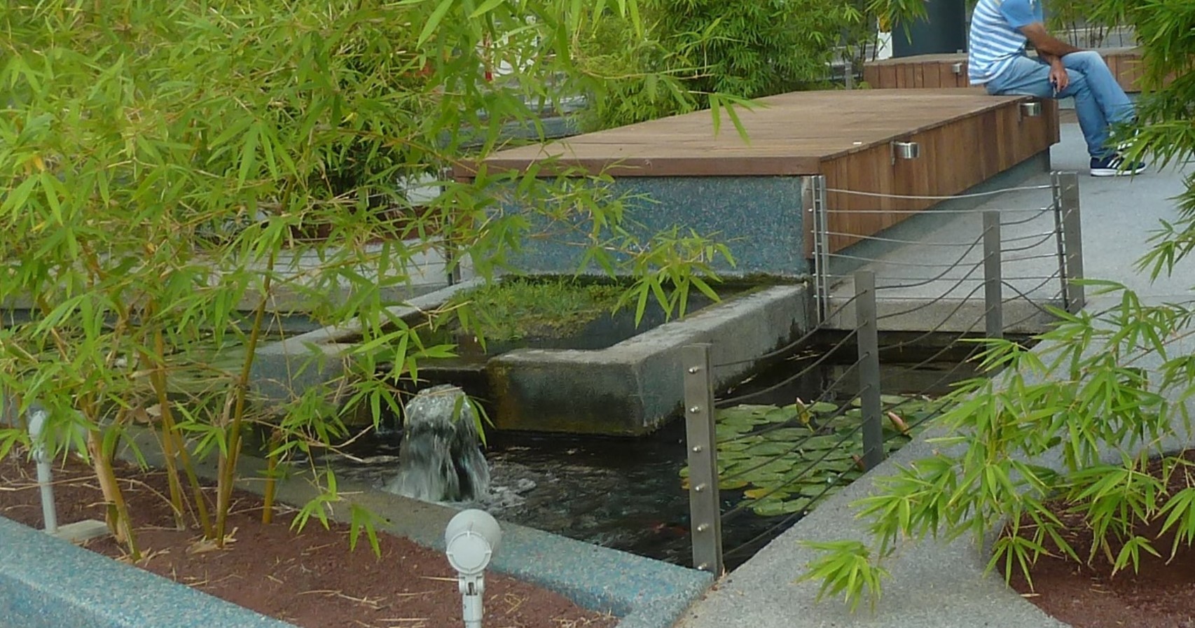 החושלים 8 הרצליה פיתוח 4