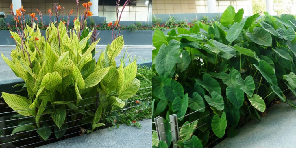 החושלים 8 הרצליה פיתוח 5