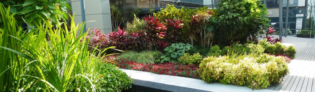 המדע 12 הרצליה פיתוח 2