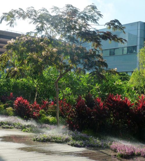 המדע 12 הרצליה פיתוח 4