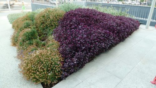 המשכית 12 הרצליה פיתוח 3