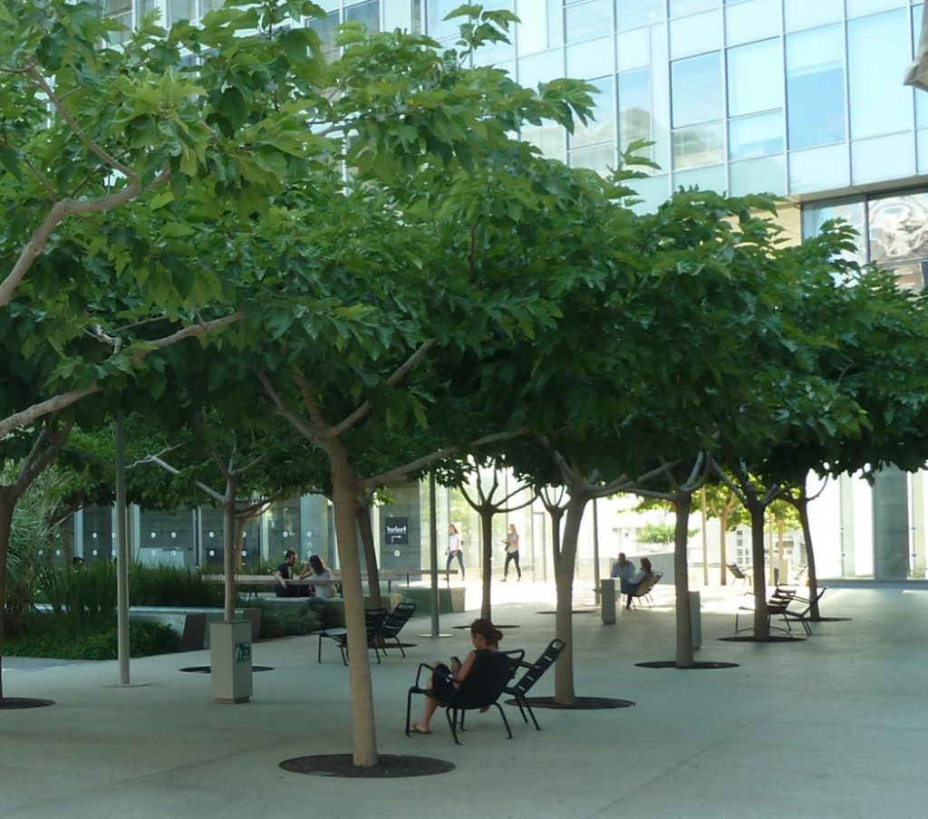 המשכית 16 הרצליה פיתוח 11