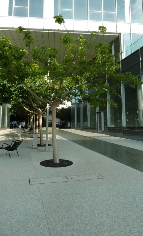 המשכית 16 הרצליה פיתוח 14