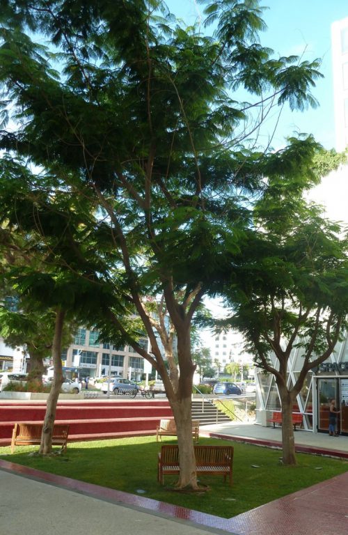 המשכית 16 הרצליה פיתוח 16