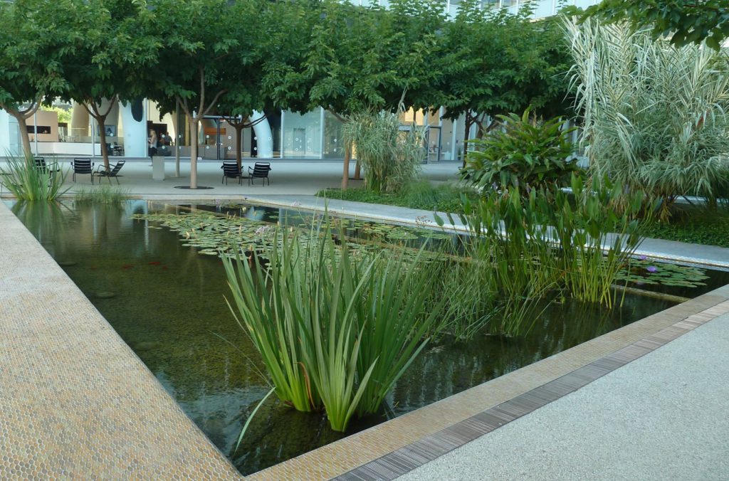 המשכית 16 הרצליה פיתוח 3