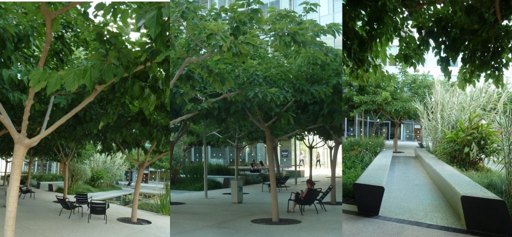 המשכית 16 הרצליה פיתוח 8