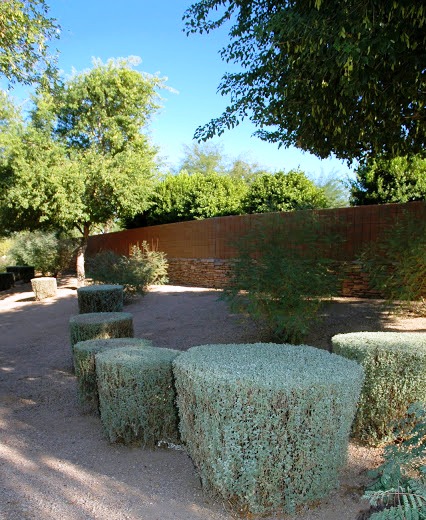 לבן עלה גזום