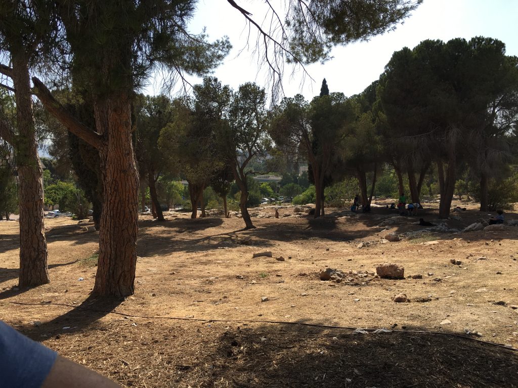 חורשות המעבר ירושלים