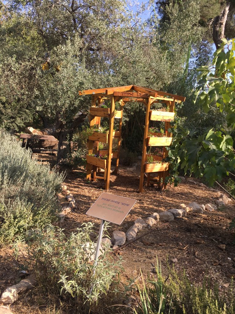 גינה קהילתית מוזאון הטבע ירושלים