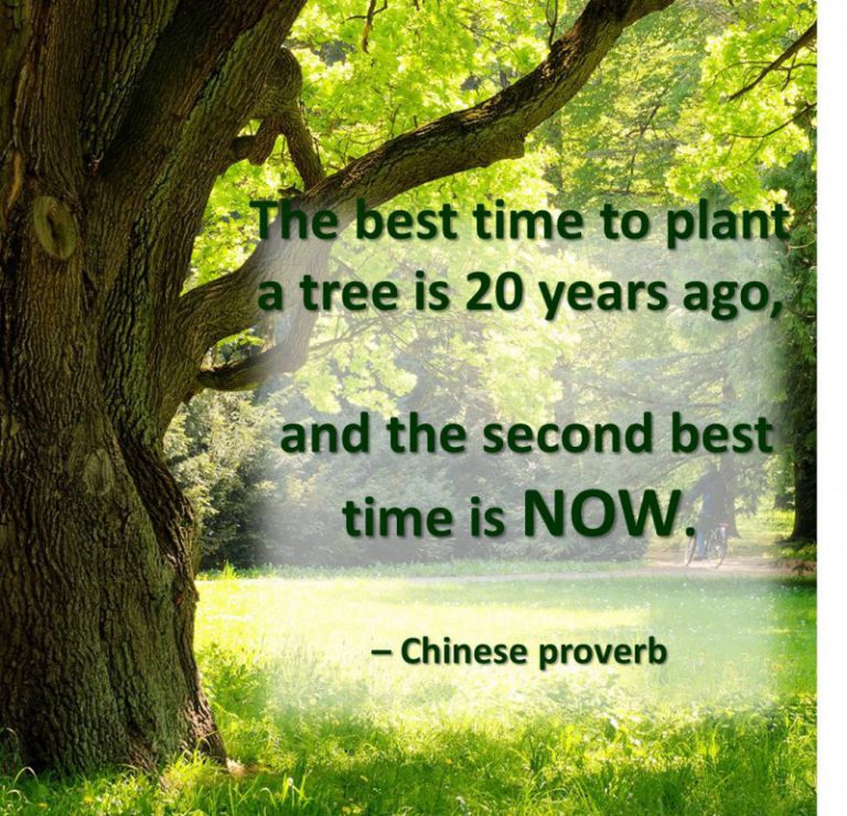 ציטוטים: פתגם סיני עתיק