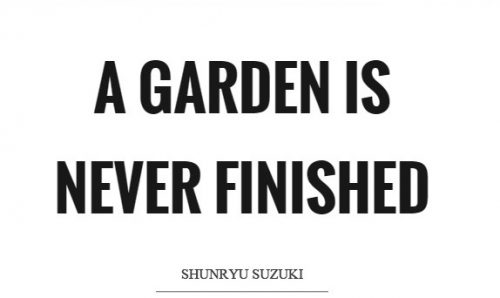 ציטוטים: Shunryu Suzuki