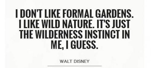 ציטוטים: Walt Disney