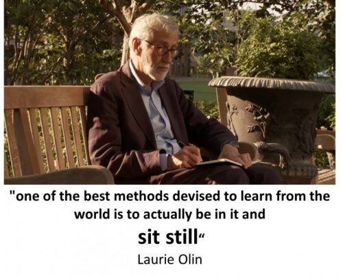 ציטוטים - Laurie Olin